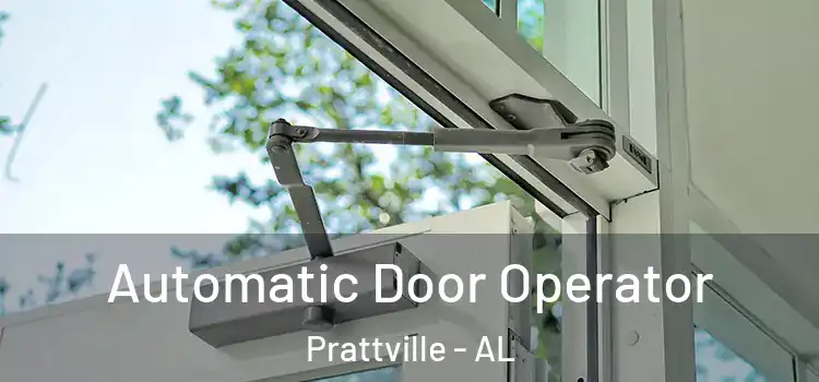 Automatic Door Operator Prattville - AL