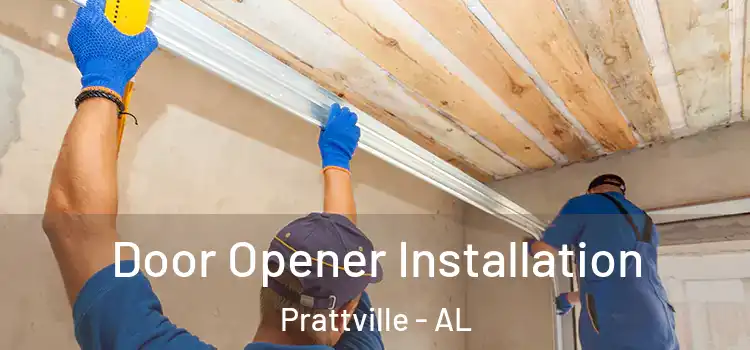  Door Opener Installation Prattville - AL
