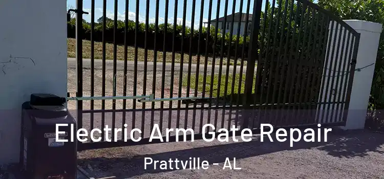 Electric Arm Gate Repair Prattville - AL