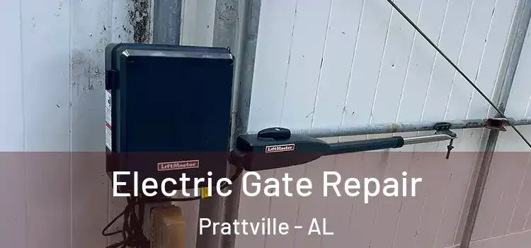  Electric Gate Repair Prattville - AL