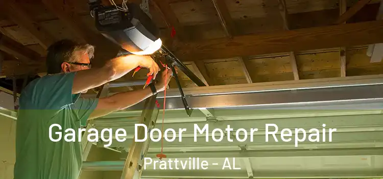  Garage Door Motor Repair Prattville - AL