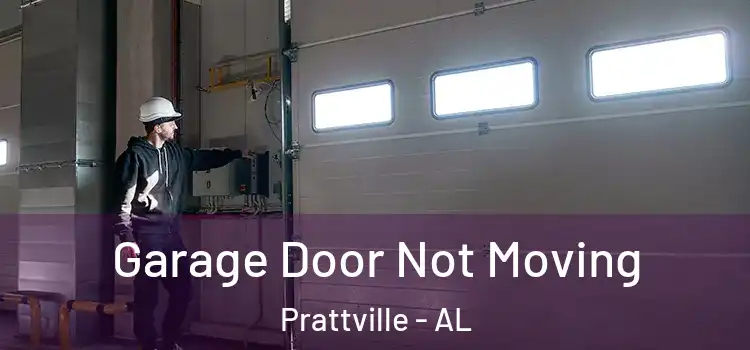  Garage Door Not Moving Prattville - AL