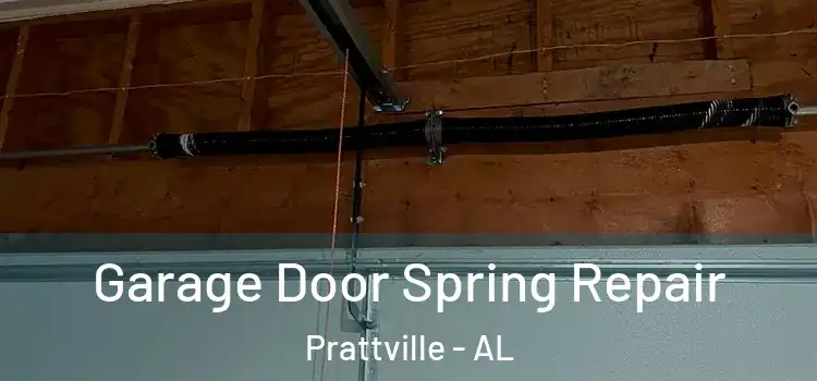  Garage Door Spring Repair Prattville - AL