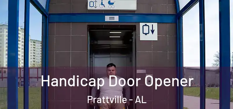 Handicap Door Opener Prattville - AL