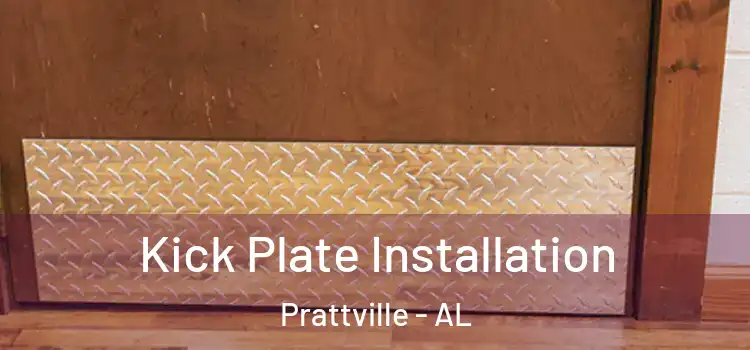  Kick Plate Installation Prattville - AL