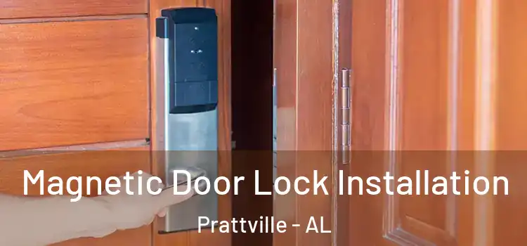  Magnetic Door Lock Installation Prattville - AL