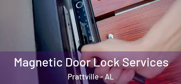  Magnetic Door Lock Services Prattville - AL