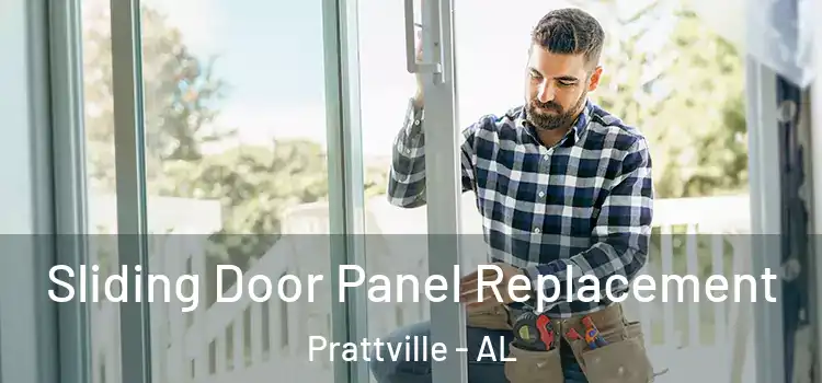  Sliding Door Panel Replacement Prattville - AL