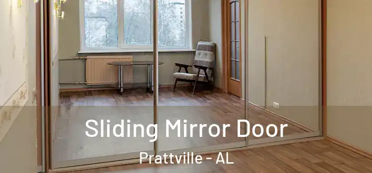  Sliding Mirror Door Prattville - AL